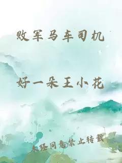 败军马车司机