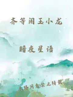 齐等闲玉小龙