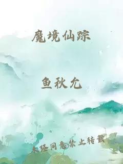 魔境仙踪